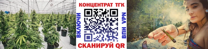 Дистиллят ТГК концентрат  как найти закладки  Волхов 