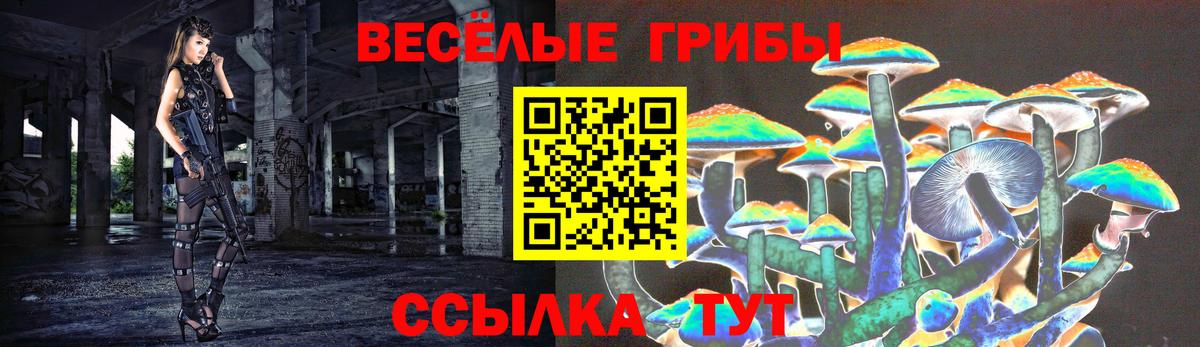 Псилоцибиновые грибы мухоморы  Вход с VPN  Псилоцибиновые грибы Psilocybe  Волхов 