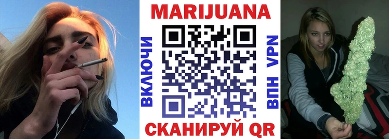 купить закладку Волхов Канабис конопля